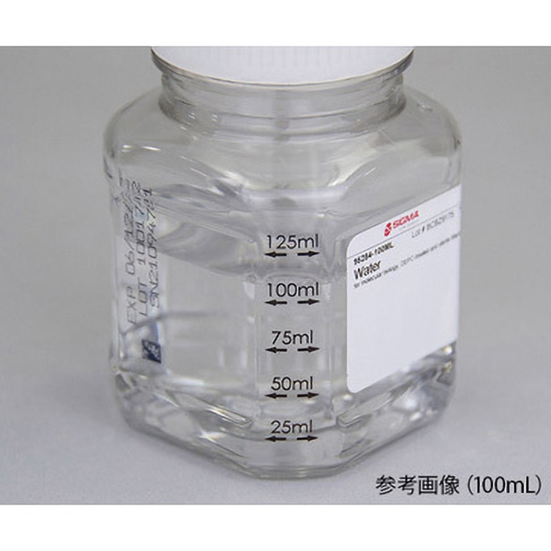 もるん 51Auzn03fdL.jpg_BO30,255,255,