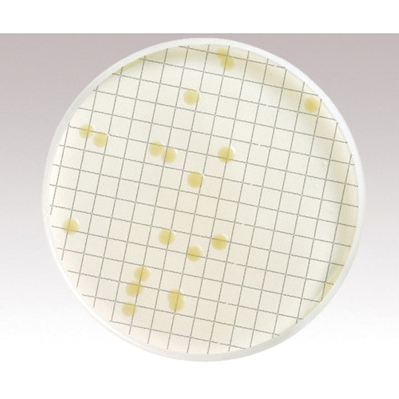 MHA000P2T アンプル培地 Merck(メルクミリポア) 1箱(50枚) MHA000P2T