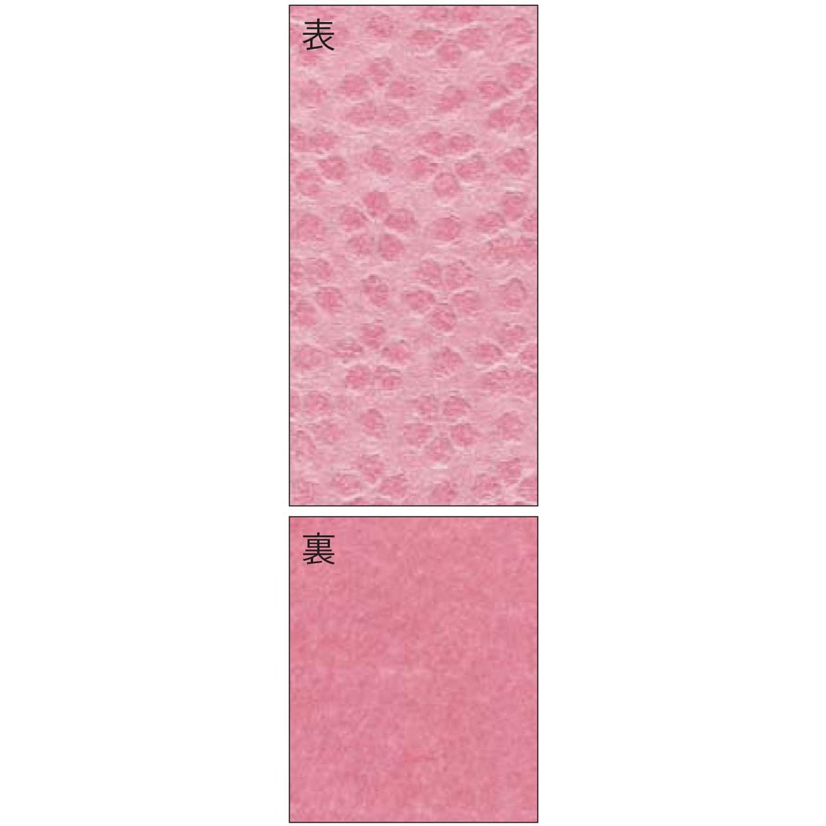 「姫林檎」、mix media，木板和紙、額装つき セリグラフィア】金彩工芸額装品:桜月(さくらづき) | 額縁通販