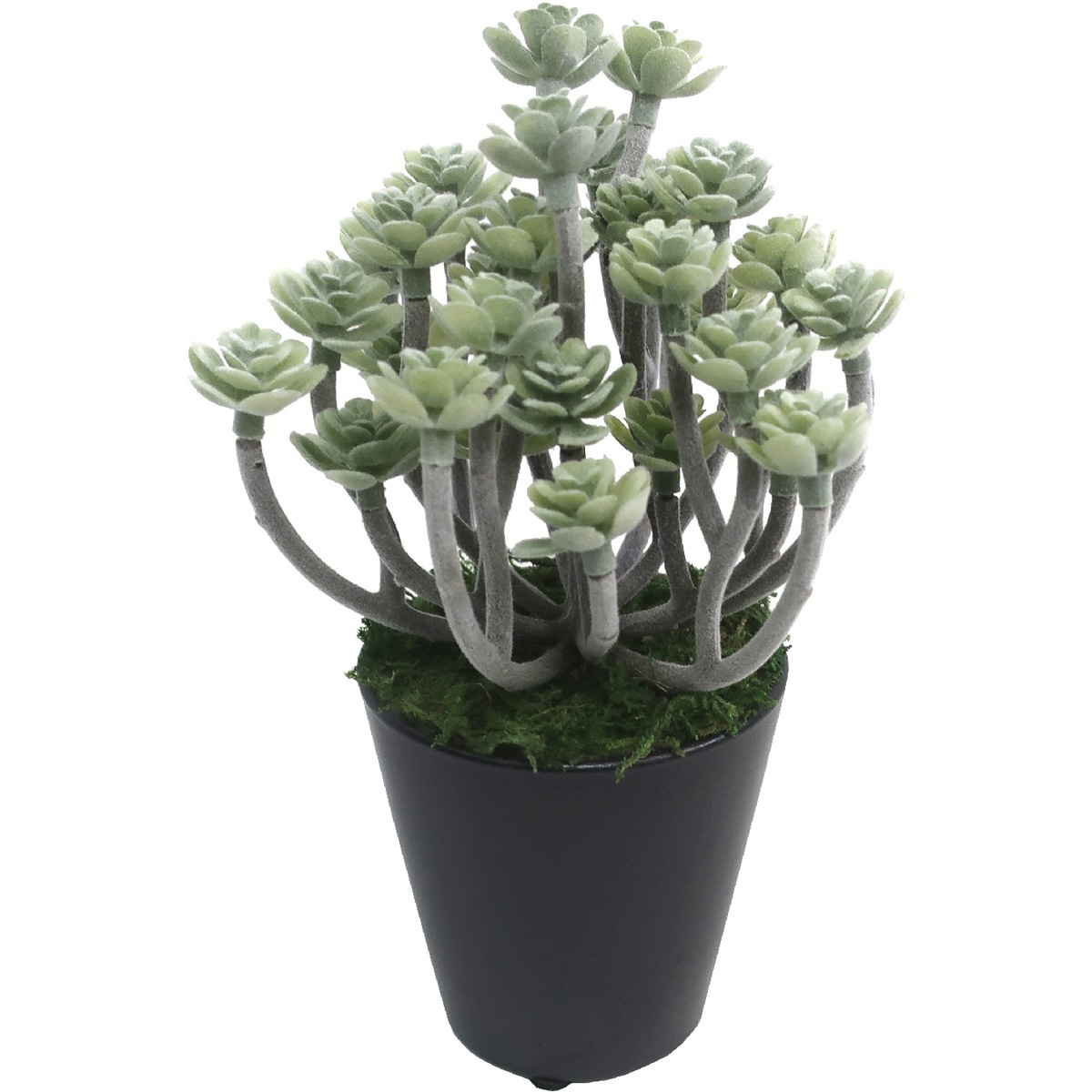 お待たせ! 32-8701 人工観葉植物 ササガワ ミニサイズ(ナチュラルポット) 工芸品