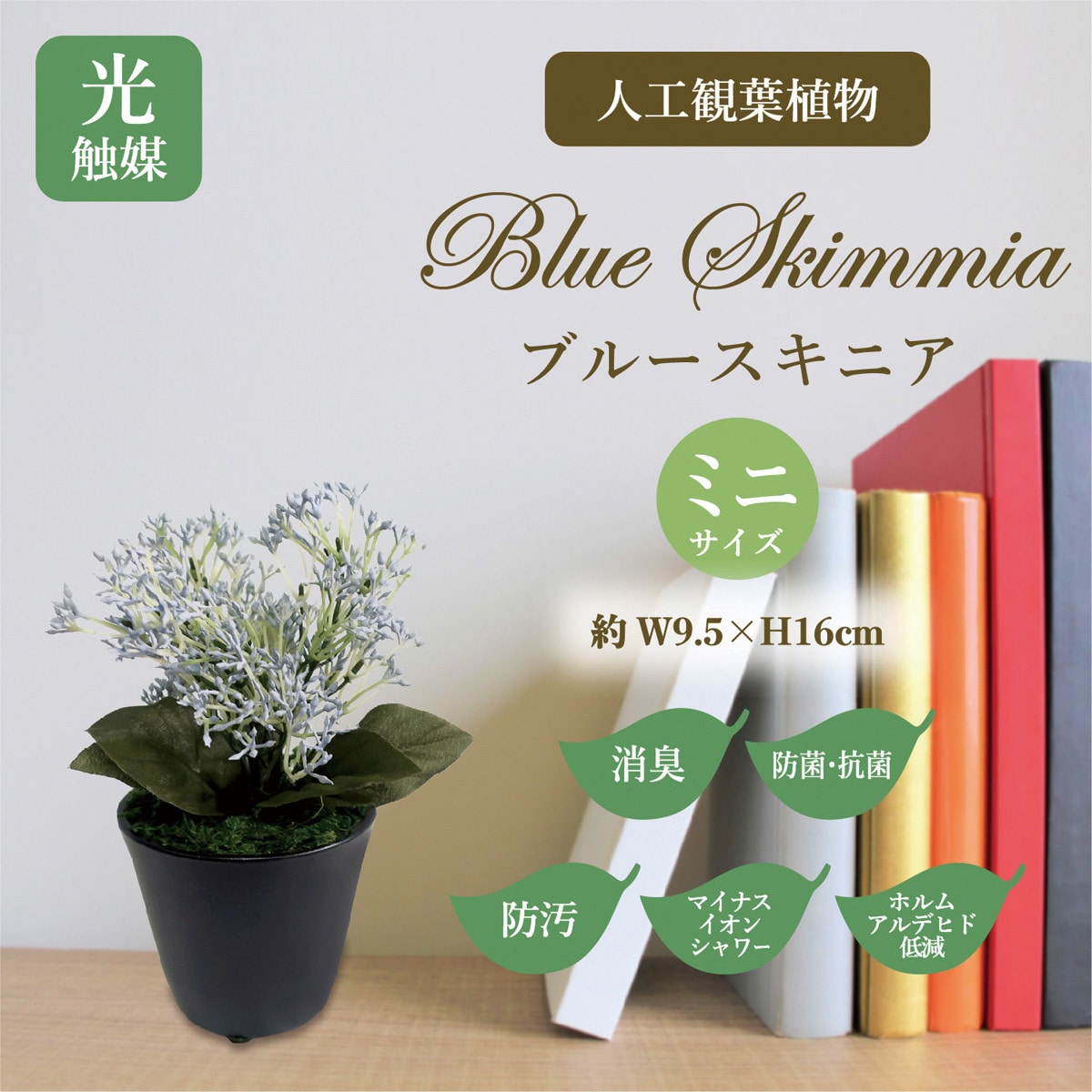 Amazon｜XiaZ 適格請求書発行可 人工観葉植物 フェイクグリーン 光触媒 3点セット 光しょくばい観葉植物 水生植物フェイク 小さい 卓上  光触媒 観葉植物 ミニ ガラス鉢（四つ叶のクローバー/蓮の葉/クワズイモ)｜人工観葉植物 オンライン通販