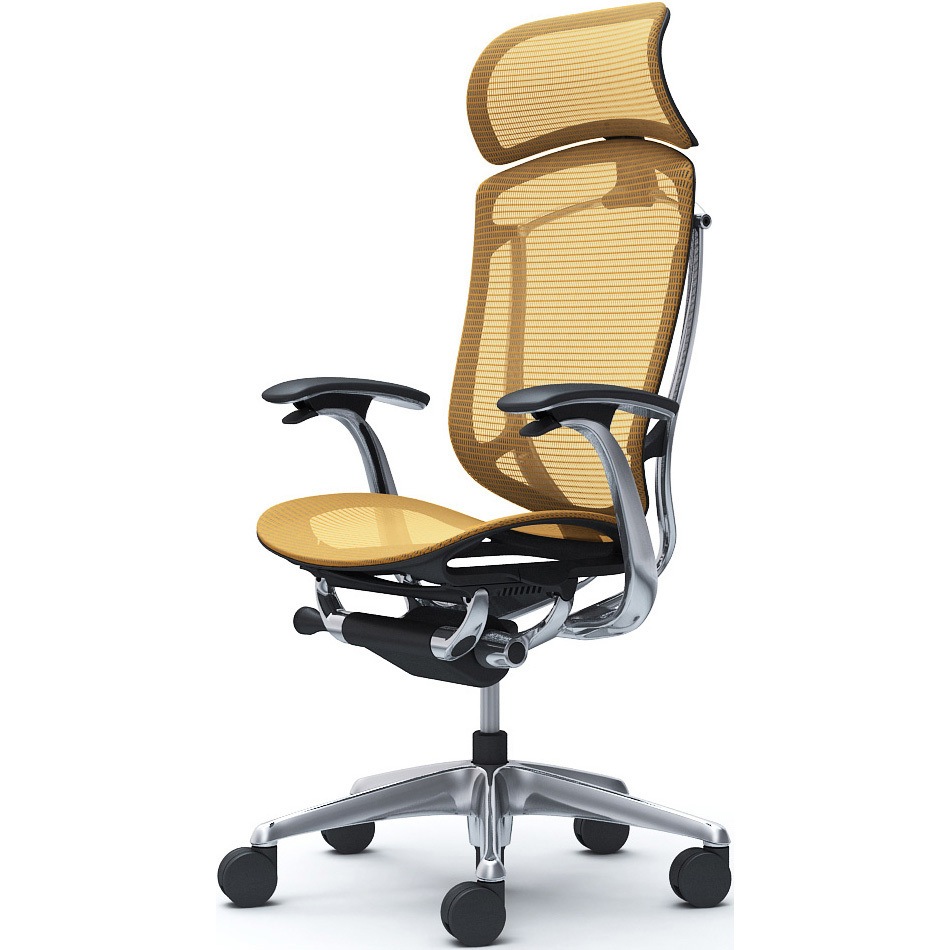 CC45XR FPH9 コンテッサセコンダ、固定肘、固定ヘッド、座メッシュ、ハンガー無、ランバー無、ブラックB、ポリッシュ、脚ポリッシュ、ウレタン 1脚 オカムラ(岡村製作所) 【通販モノタロウ】 109,890円