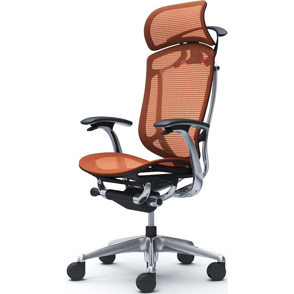 CC46XR FPH8 コンテッサセコンダ、固定肘、固定ヘッド、座メッシュ、ハンガー付、ランバー無、ブラックB、ポリッシュ、脚ポリッシュ、ウレタン 1脚 オカムラ(岡村製作所) 【通販モノタロウ】 219,800円