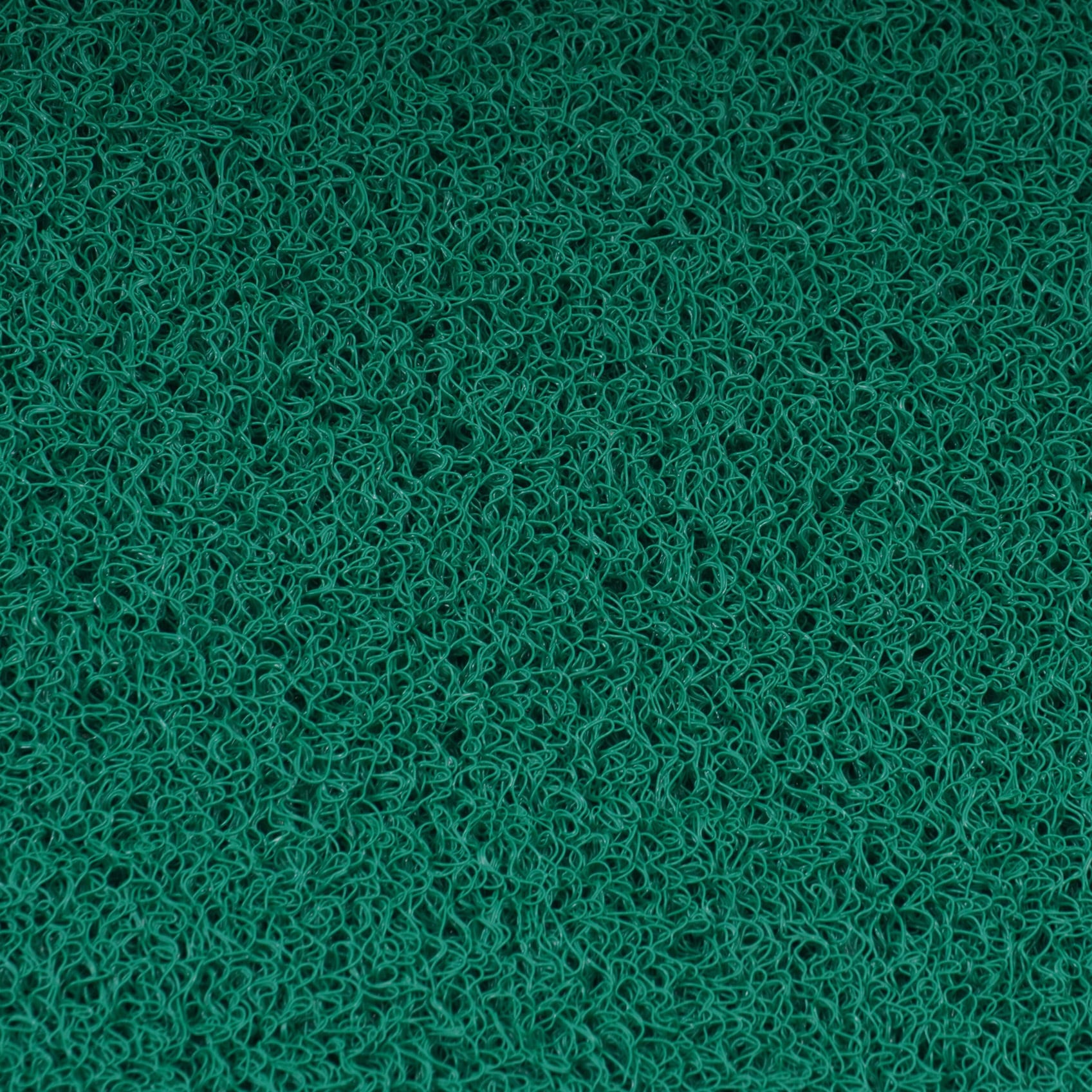 GReeeeN  マット 玄関 マット PVC製 モノタロウ グリーン色 寸法600×900mm 【通販