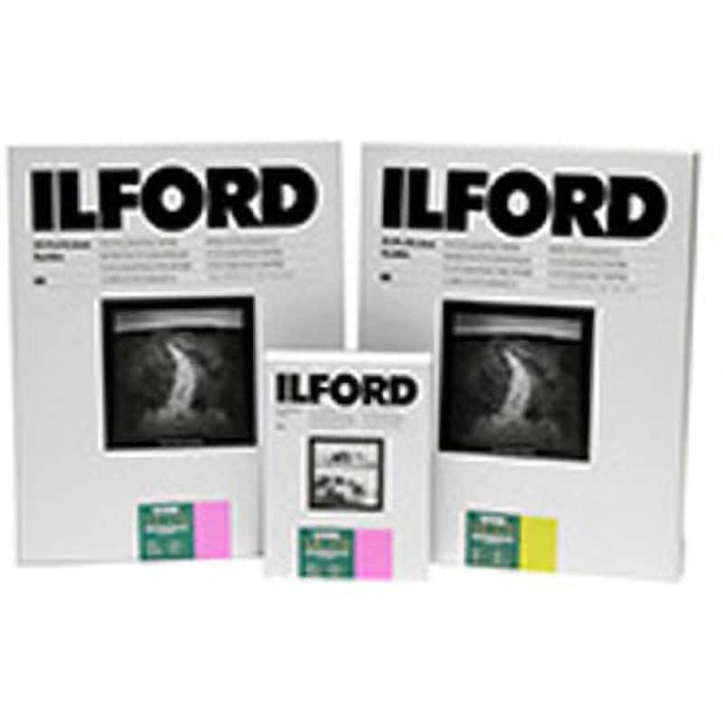 イルフォード ILFORD バライタ紙 16×20 50枚入 - フィルムカメラ