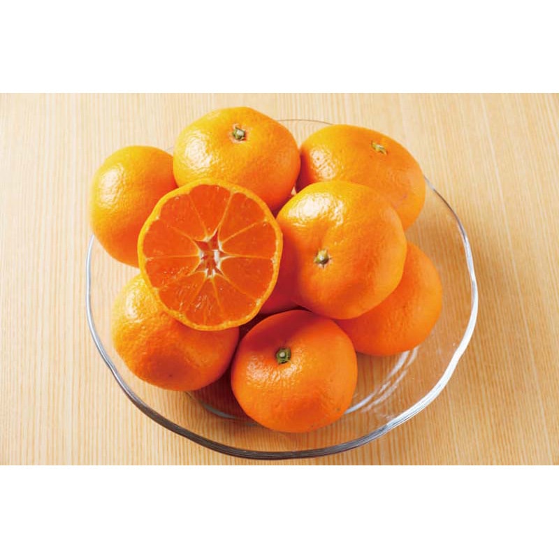 B13-3 愛媛みかん 1セット ノーブランド 【通販モノタロウ】