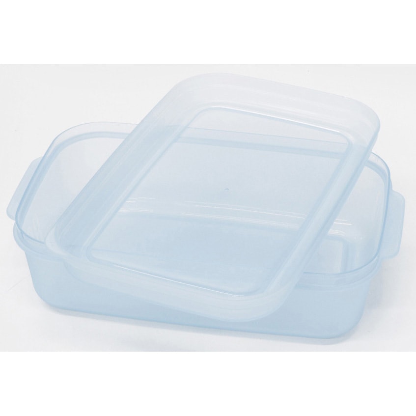 ライトパックセカンドクリア タケヤ化学工業 電子レンジ対応 容量500mL