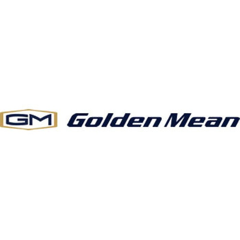 LRFS-50 GM ライトリバーフライ 1本 GoldenMean(ゴールデンミーン