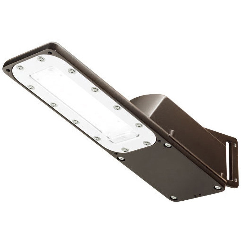 E70066SAN9/DB LED防犯灯 20VA 自動点滅器なしDB 岩崎電気 昼白色タイプ 色温度5000相当K