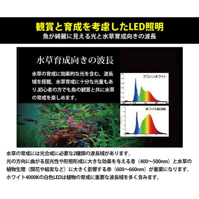 1200 水槽用 照明ライト マルチカラーLED 1個 ゼンスイ 【通販