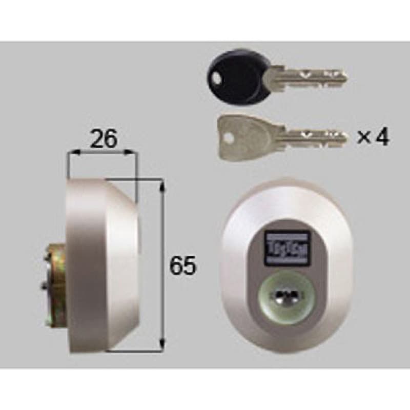 DDZZ3010 玄関ドア用シリセットDN1ロックシャイングレー上 1セット TOSTEM(LIXIL) 【通販モノタロウ】