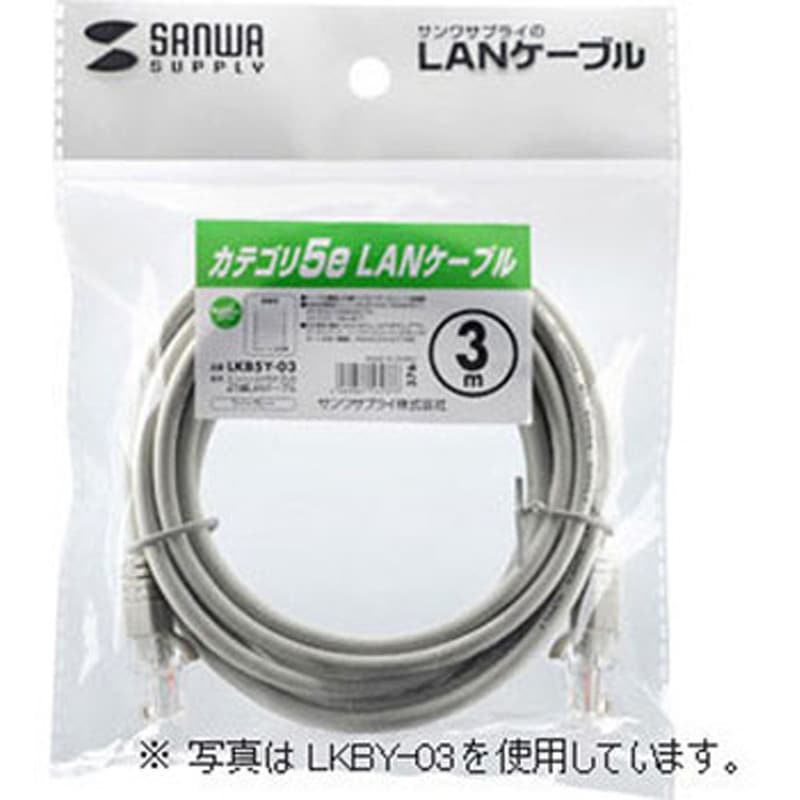 500-LAN005 LANケーブル サンワダイレクト コネクタあり ライトグレー