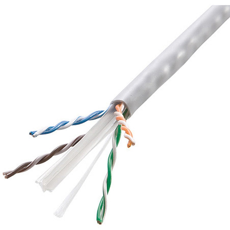 500-LAN6-CB100W LANケーブル サンワダイレクト 規格CAT6 カテゴリー