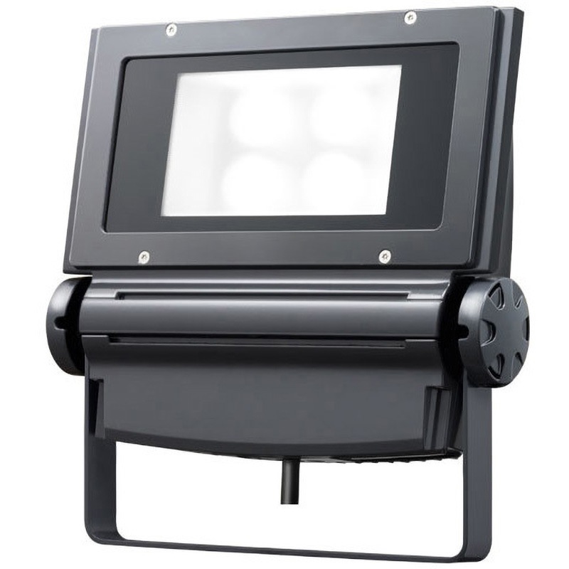 ECF1591N/SAN2/DG レディオック フラッド ネオ 150クラス 岩崎電気 5000K 昼白色