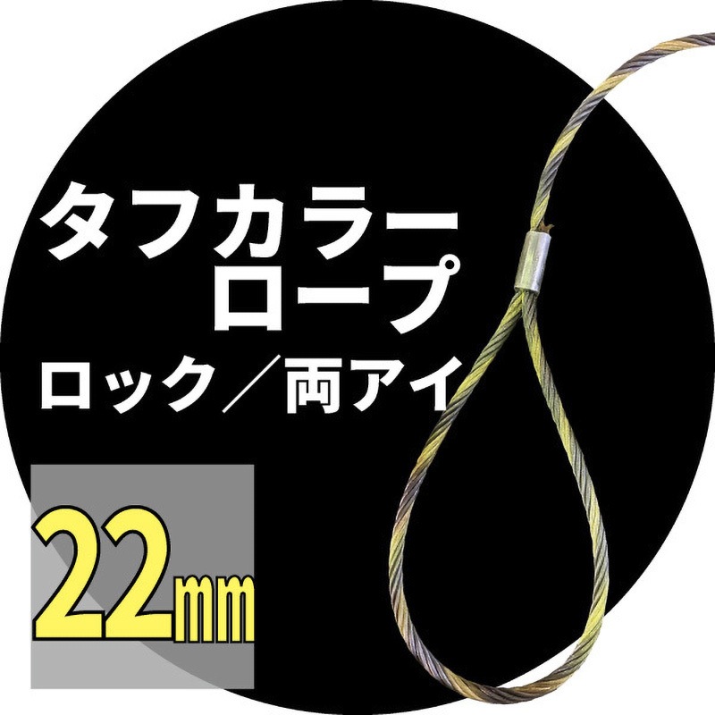 29605 玉掛ワイヤー(タフカラーロック) アイビッグ 両端アイ 荷重5.8t
