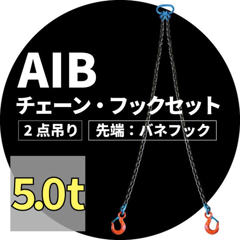 31020 2点吊りチェーンフックセット アイビッグ 材質:高強度合金鋼 