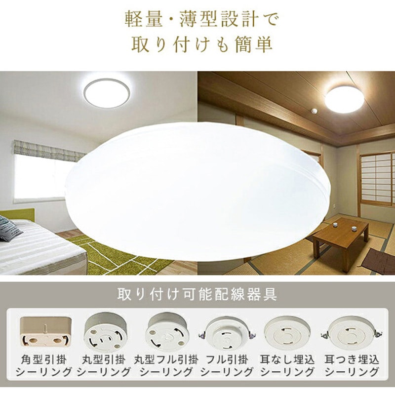 楽天市場】[枚数限定クーポン配布中! 7/1 0:00-7/7 9:59