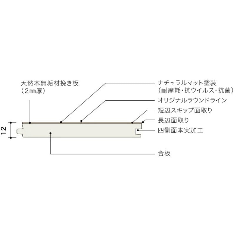 PMT2KJ05S ライブナチュラルプレミアム STANDARD 朝日ウッドテック 幅