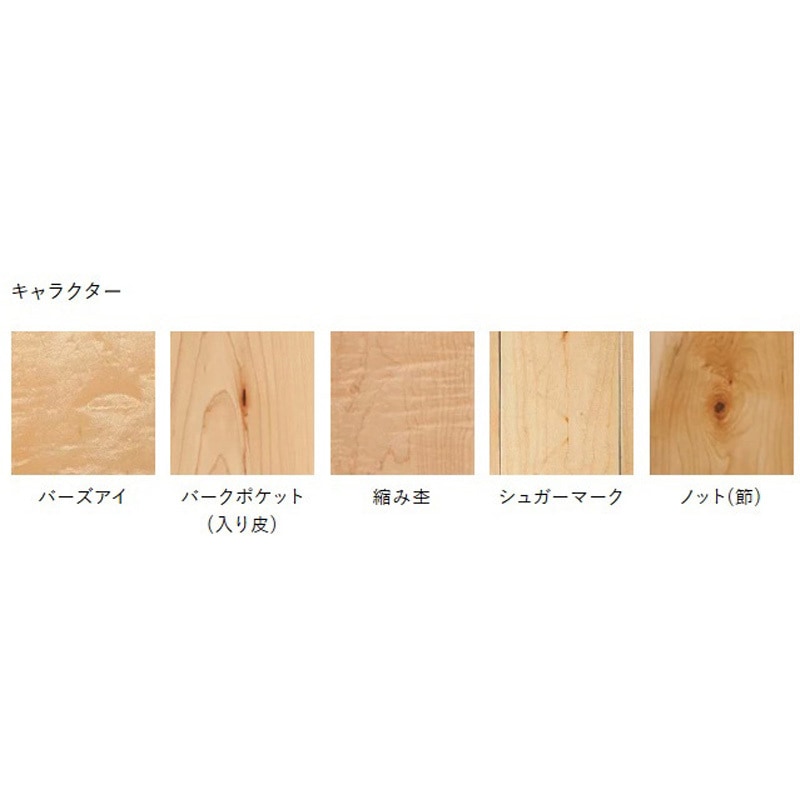 PMT3KJ17S ライブナチュラルプレミアム STANDARD 朝日ウッドテック 幅