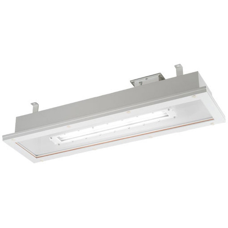 EXICL7041ASA9D-22 防爆形CR用LED照明器具 埋込形 32W2灯用 岩崎電気 色温度5000相当K