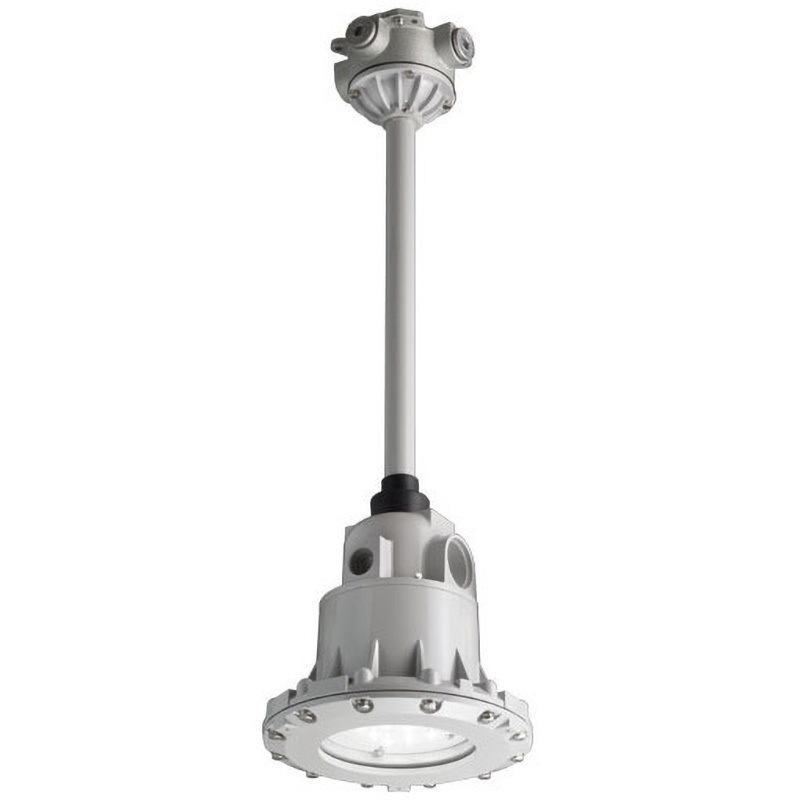 EXIL2011SA9-22-G 防爆形LED照明器具 パイプ吊形(8W) 岩崎電気 色温度5000相当K