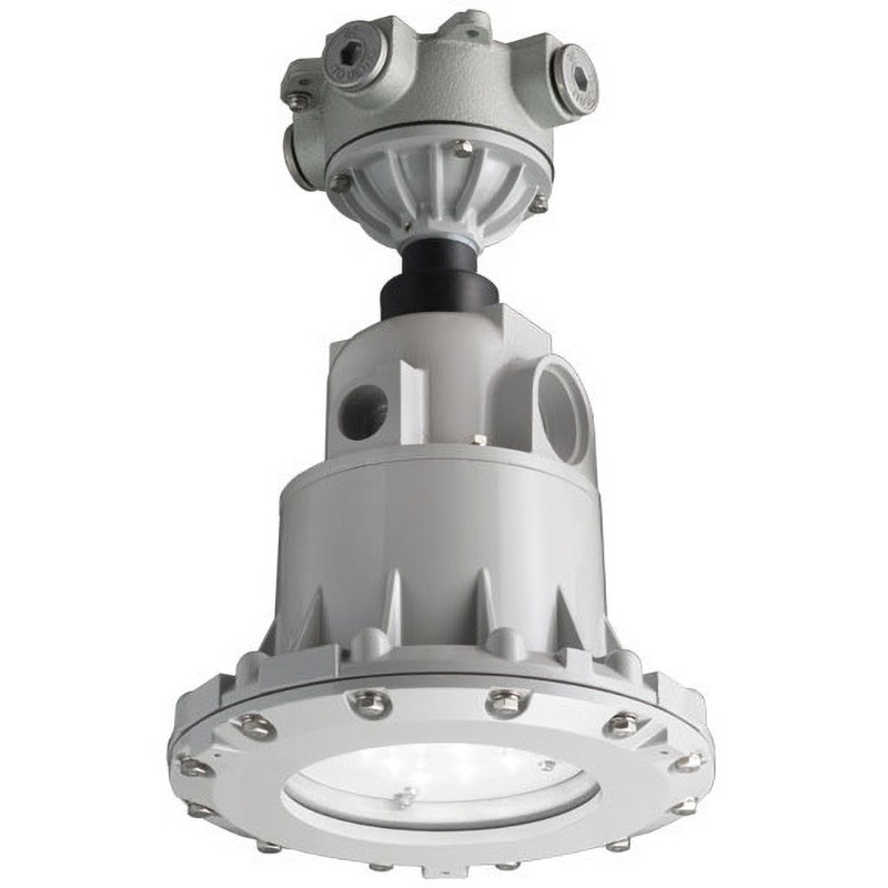 EXIL1011SA9-22-G 防爆形LED照明器具 直付形(8W) 岩崎電気 5000K