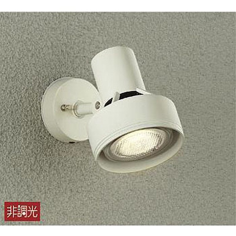 アウトドアライト/スポットライト/非調光 ランプ別売タイプ/LED