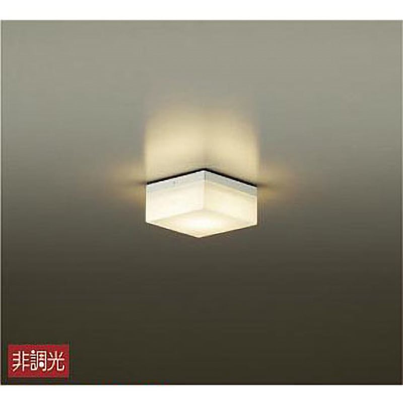 DWP-40254Y アウトドアライト/玄関灯/シンプル角タイプ/浴室灯/一般