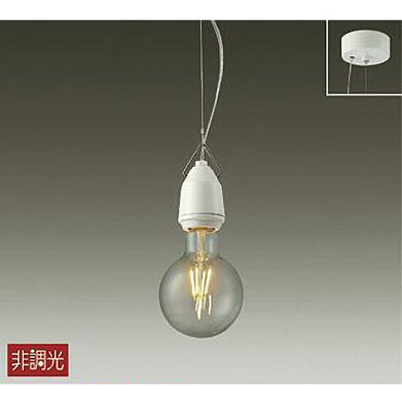 ペンダント/洋風非調光 ペンダント/洋風 非調光 小型/その他/LED交換可能タイプ 非調光 /洋風