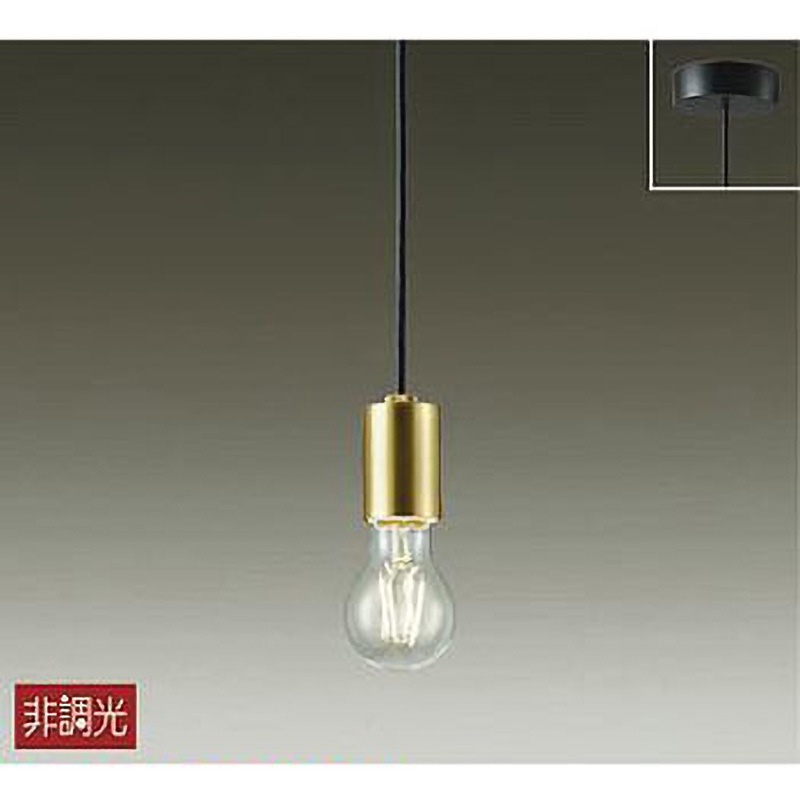 DPN-41063Y ペンダント/洋風 非調光 小型/その他/LED交換可能タイプ 非