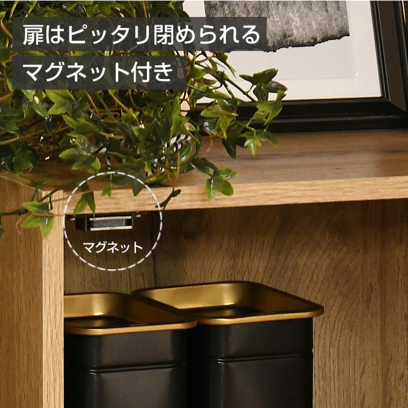 TCB-2(OAK3D) 扉付き カラーボックス 1台 YAMAZEN(山善) 【通販