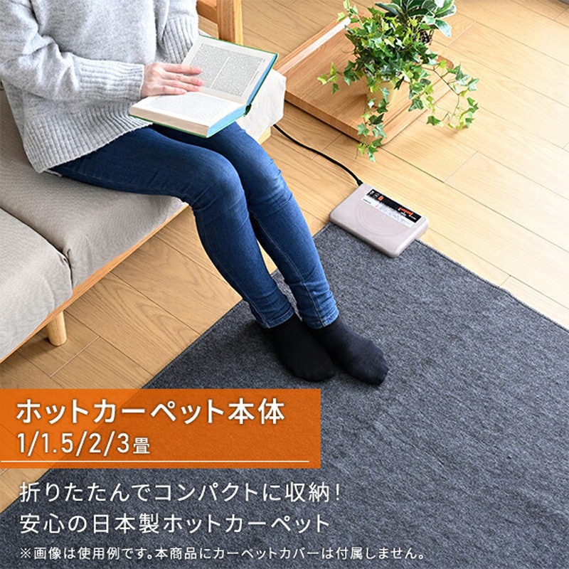 WAC-101 ホットカーペット 日本製 1枚 YAMAZEN(山善) 【通販モノタロウ】