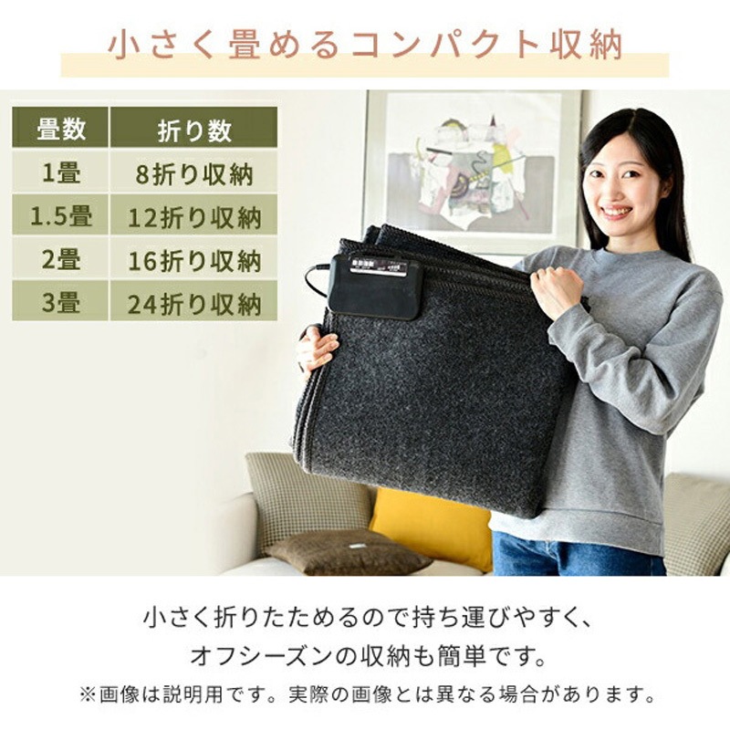 SUT-152 空気をキレイにする ホットカーペット YAMAZEN(山善) 縦120cm