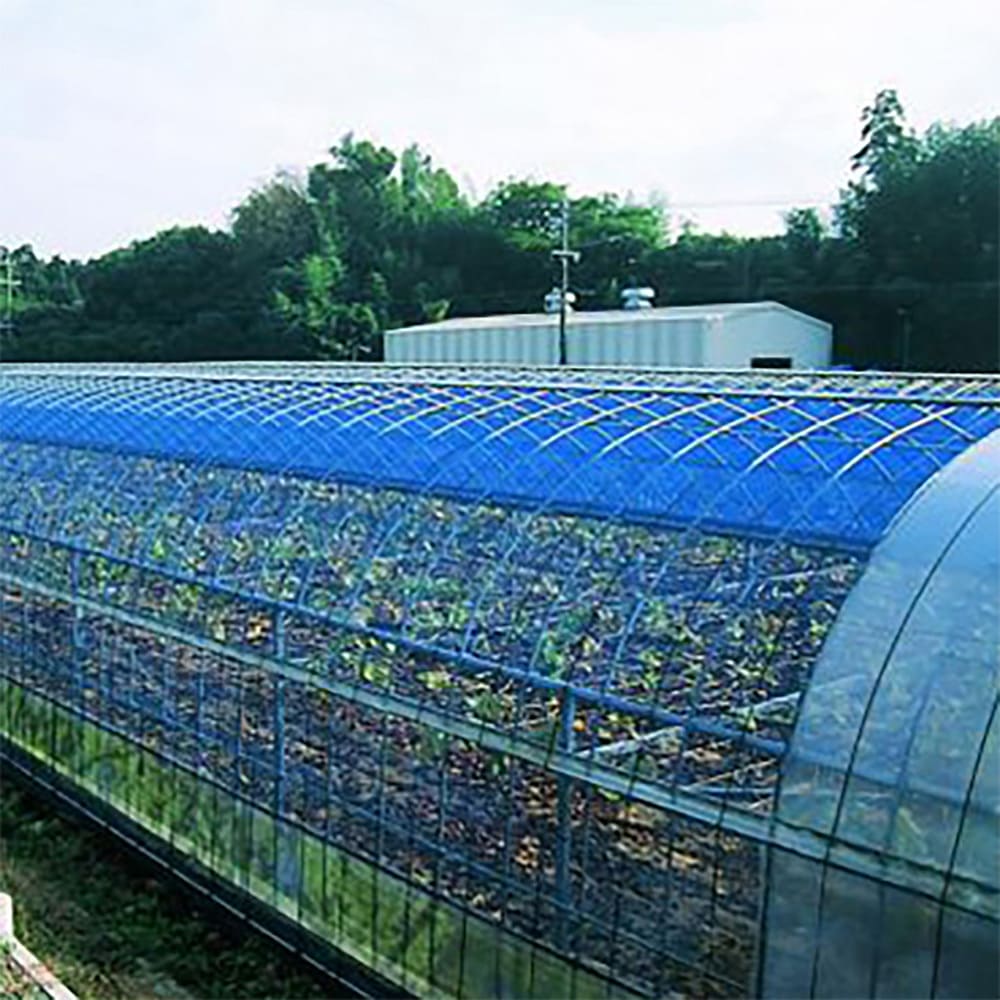 強力防鳥網 1000d 青1m× 54m KG30TN 強力防鳥網(800D)ブルー