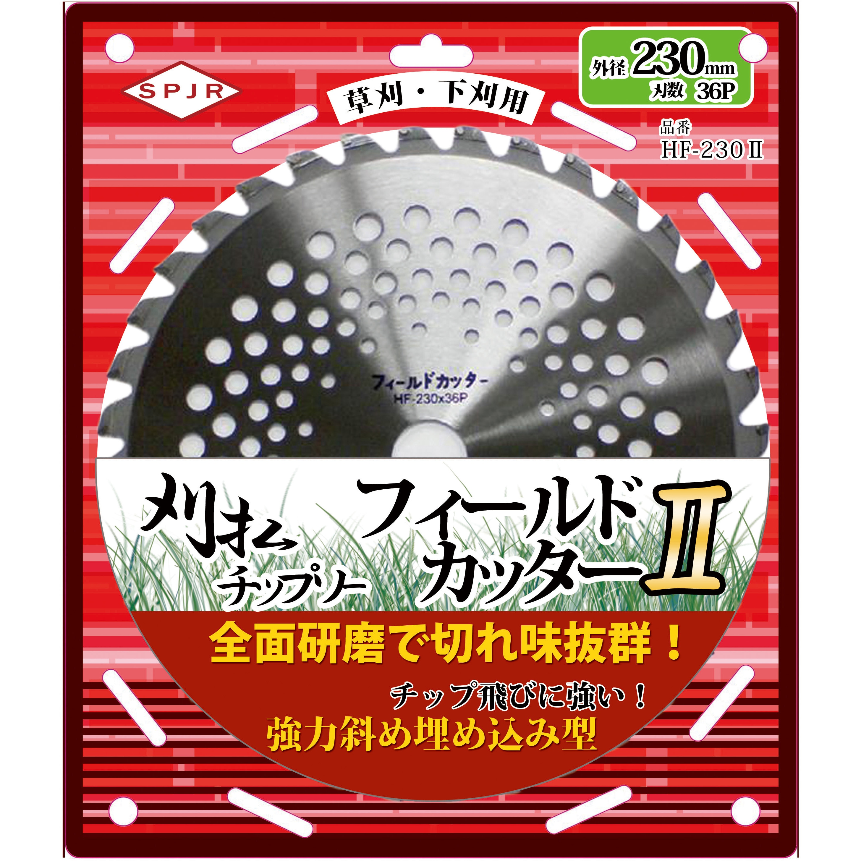 おちゃ kotohayokozawa】【CONVERSE】ROADCLASSIC SS OX (WOMEN'S