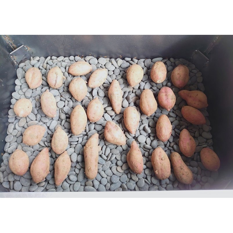 YK-001N 焼き芋機(保温スペースなし) 1台 植平工業 【通販モノタロウ】