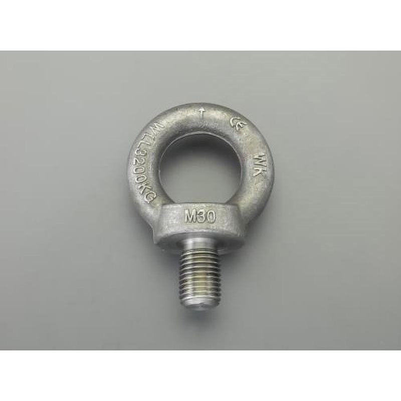 EA638SD-54 M42x63mm アイボルト(炭素鋼製) 1個 エスコ 【通販モノタロウ】