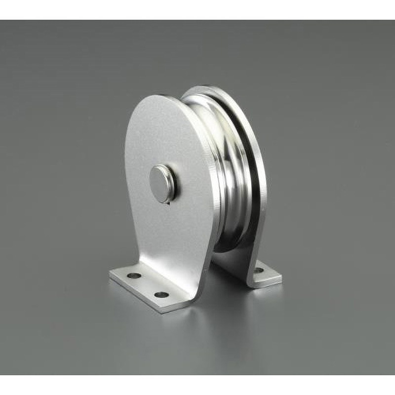 EA987SR-55 100mm 縦型固定滑車(ステンレス製) 1個 エスコ 【通販