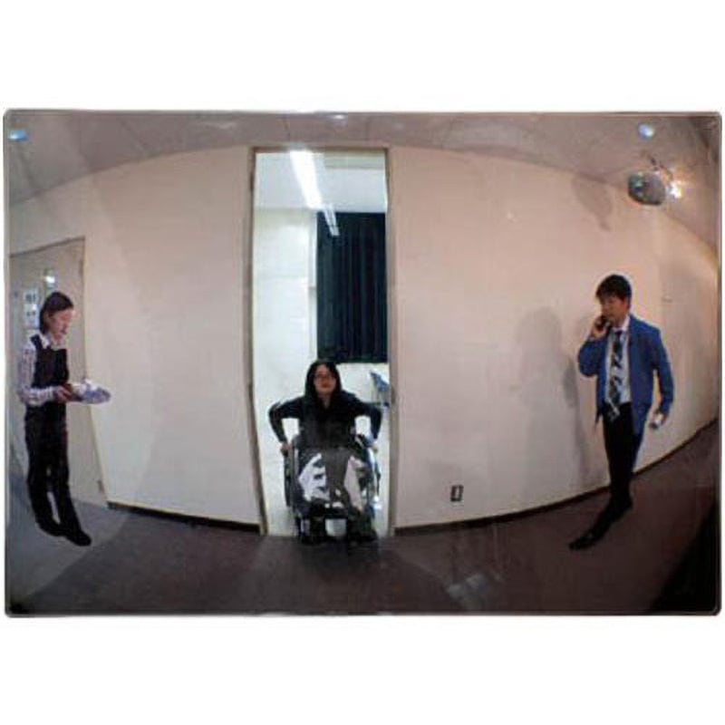 EA724ZM-17 340x240mmフラット型凸面機能ミラー(左右/マグネット) 1個 エスコ 【通販モノタロウ】