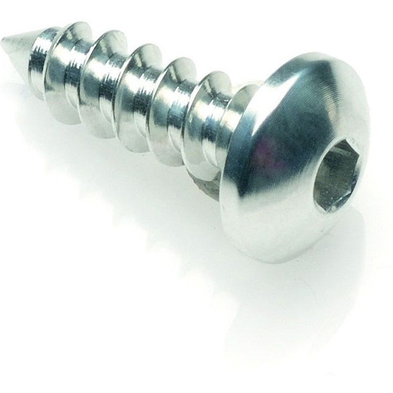 PAC24516SIL SELF TAPPING SCREW 002 D=4，5X16 ERGAL 1個