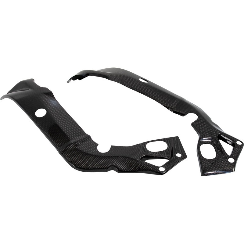 CARB1051 カーボン フレームプロテクション(ペア) LIGHTECH (ライテック) 適合車種BMW S1000R (2017-2019) S1000RR (2015-2018)   CARB1051