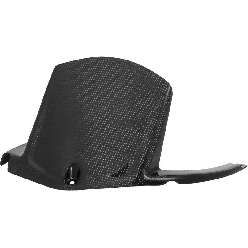 CARK9620 カーボン リアマッドガード LIGHTECH (ライテック) 適合車種KAWASAKI ZX10R (2011-2020)   CARK9620