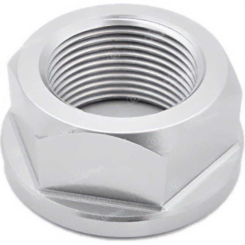 D003SIL スペシャルナット24 X 1，50 ERGAL LIGHTECH (ライテック) シルバー色   D003SIL