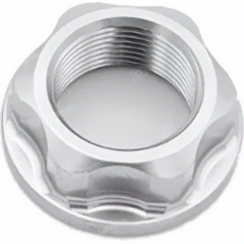 D013SIL スペシャルナット24 X 1，50 ERGAL LIGHTECH (ライテック) シルバー色   D013SIL