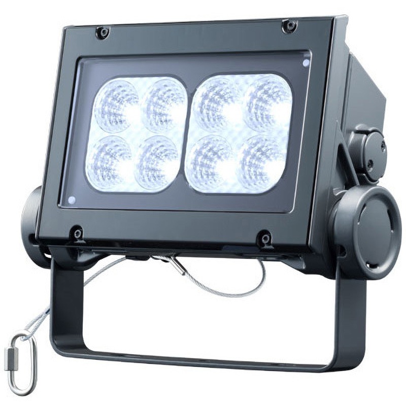 岩崎電気 ECF8040M/DSAN8/DG LEDioc FLOOD NEO (レディオック フラッド ネオ) 80クラス 中角タイプ 昼光色タイプ(ECF8040MDSAN8DG)受注生産品 ecf0395n／san8／dgの通販