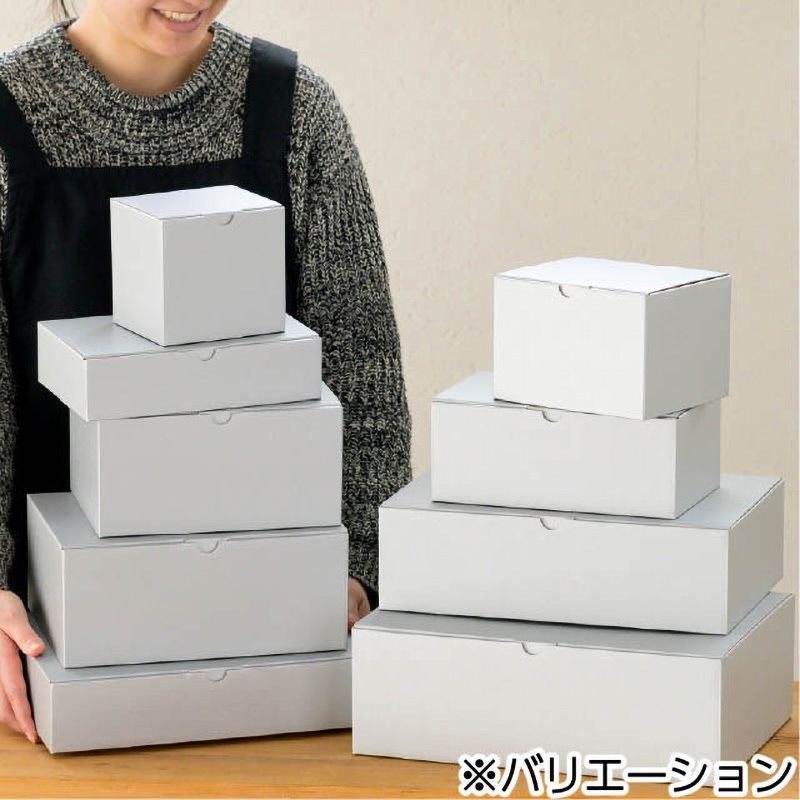 18パック＋箱 ZX-(18)STEL-(1)(W)｜テルワールド（NTT中古ビジネスフォン販売店）