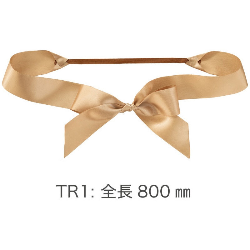 SAG-TR1 サテンリボンゴムタッグ HEADS(ヘッズ) ゴールド色 1パック(10