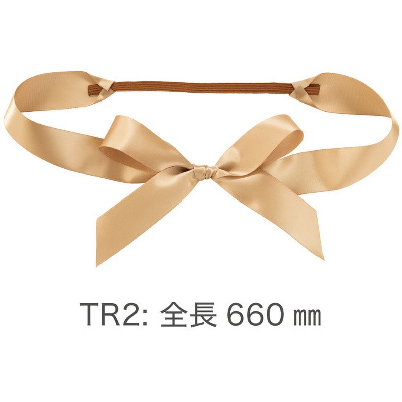 acca リボンゴム　ゴールド SAG-TR2 サテンリボンゴムタッグ HEADS(ヘッズ) ゴールド色 1パック(10