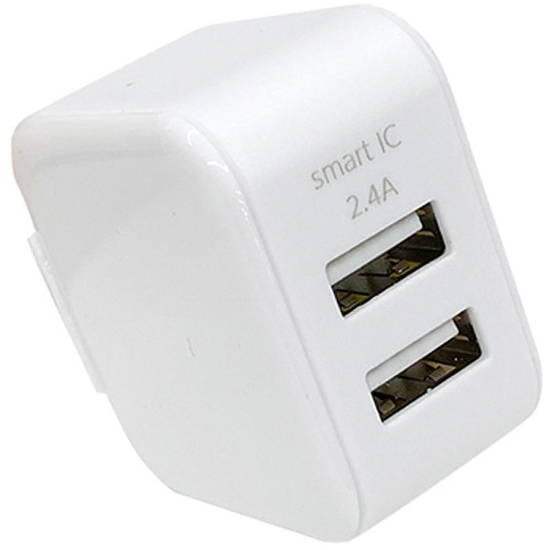 AKJ-SCUBE2 WH スリムキューブAC充電器 USBポートX2 1個 TM TECH 