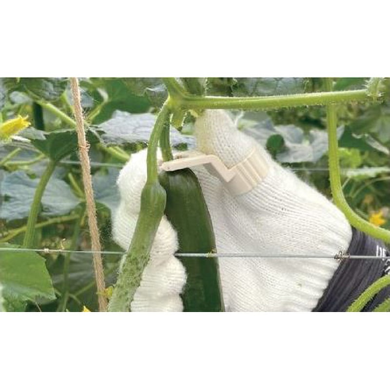 CP-692-2 替刃式きゅうりカッター 1箱(1本) TAKIGEN(タキゲン) 【通販